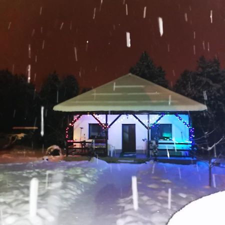 Limpedea Green House Baia Mare Luaran gambar