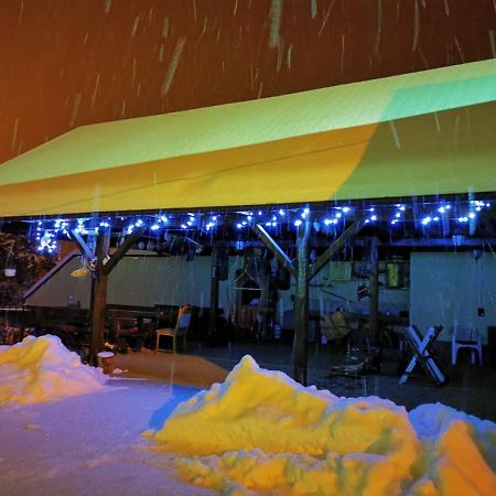 Limpedea Green House Baia Mare Luaran gambar