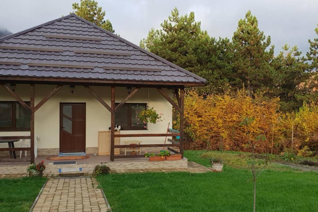 Limpedea Green House Baia Mare Luaran gambar