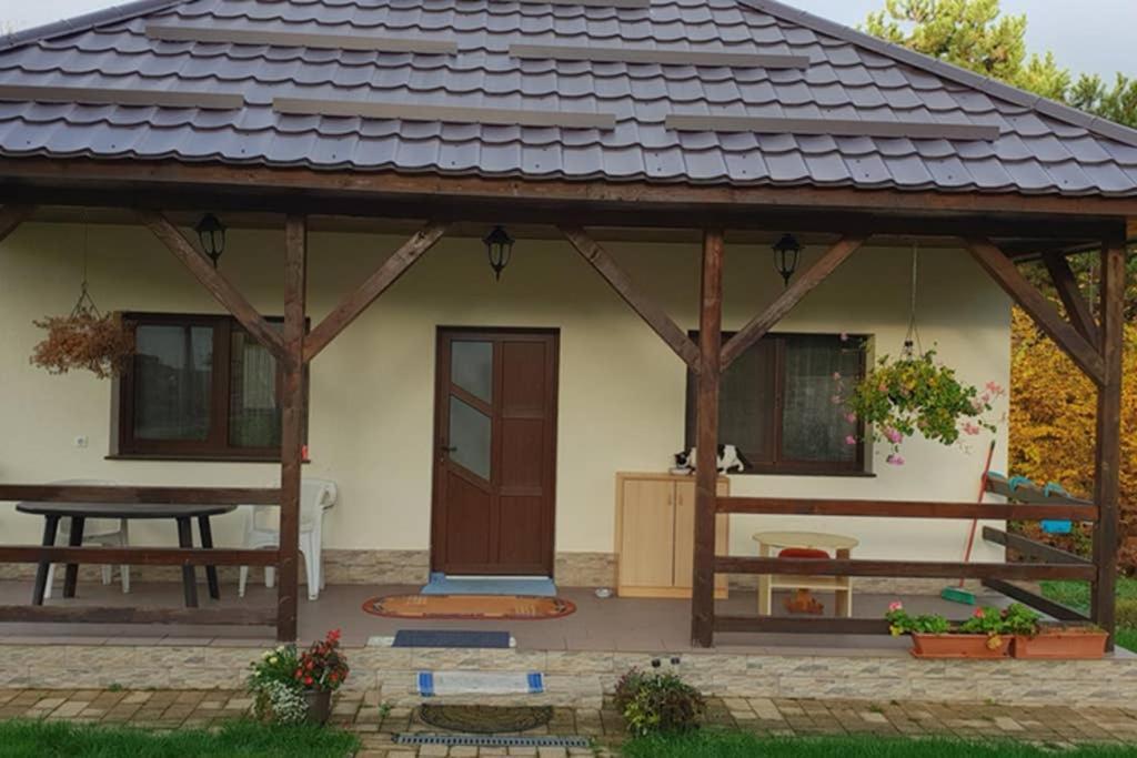 Limpedea Green House Baia Mare Luaran gambar