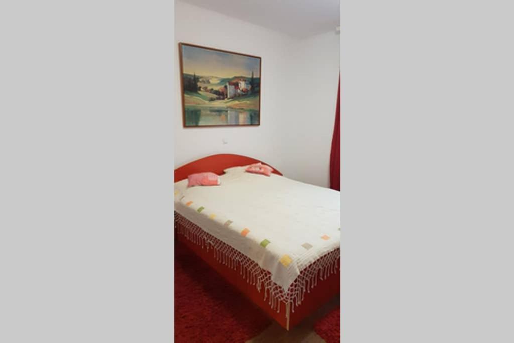 Limpedea Green House Baia Mare Luaran gambar