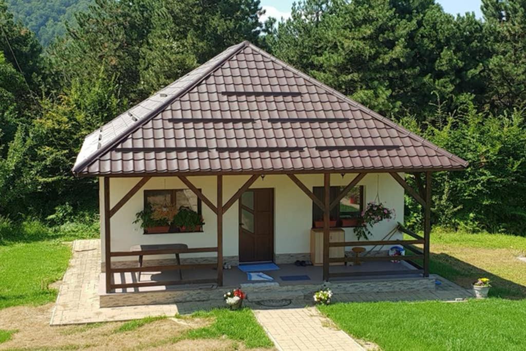 Limpedea Green House Baia Mare Luaran gambar