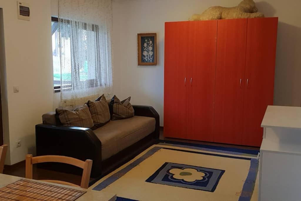 Limpedea Green House Baia Mare Luaran gambar