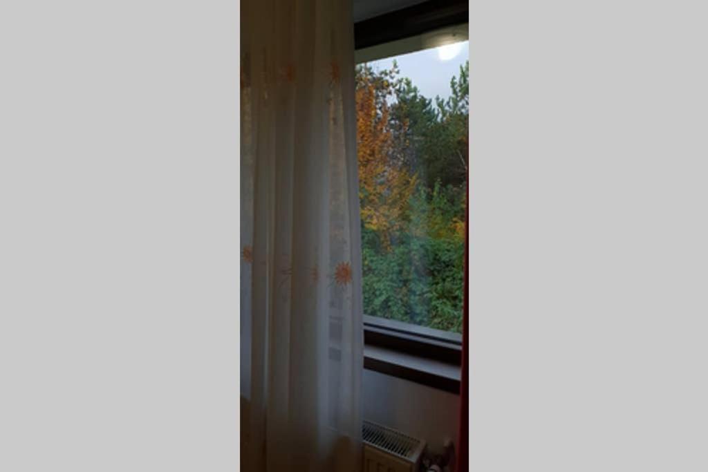 Limpedea Green House Baia Mare Luaran gambar