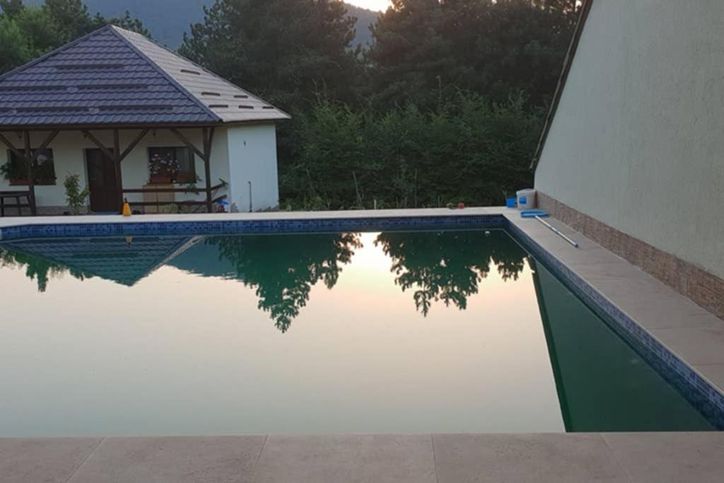 Limpedea Green House Baia Mare Luaran gambar