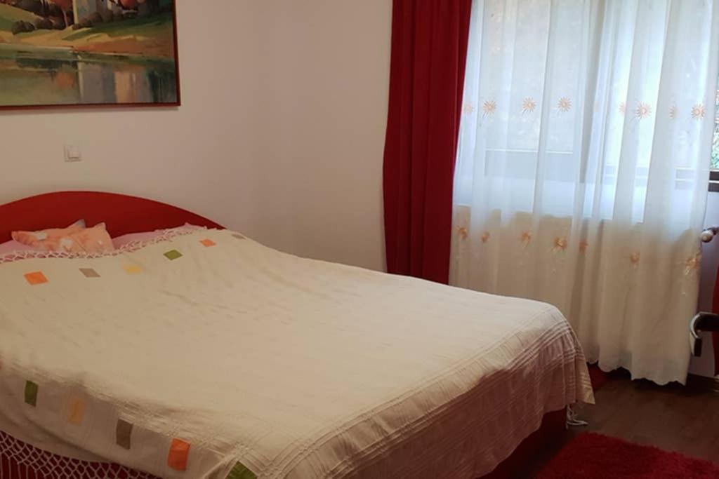 Limpedea Green House Baia Mare Luaran gambar