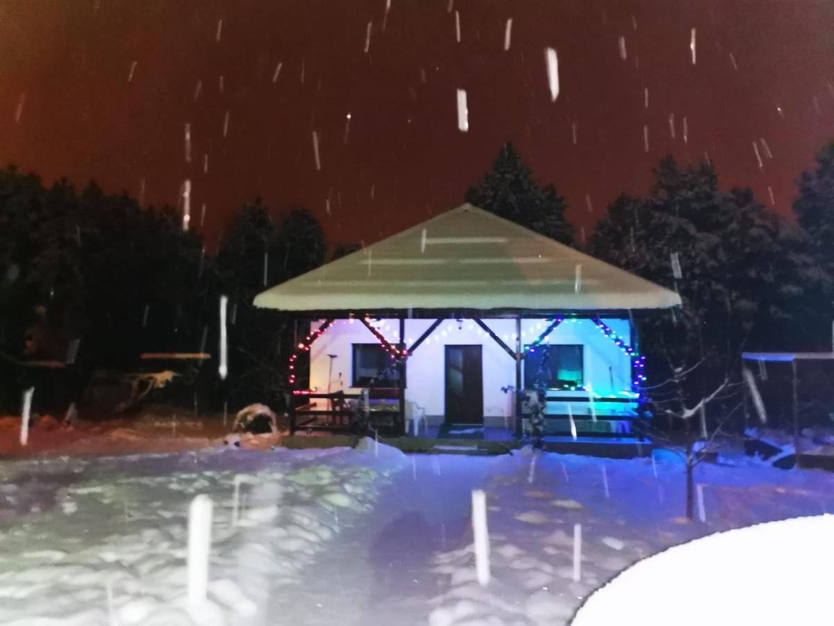 Limpedea Green House Baia Mare Luaran gambar
