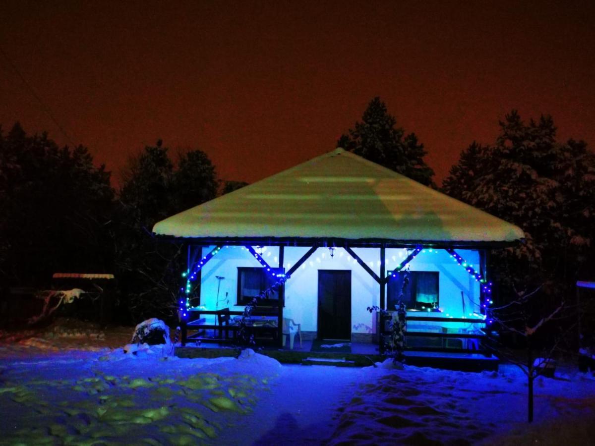 Limpedea Green House Baia Mare Luaran gambar