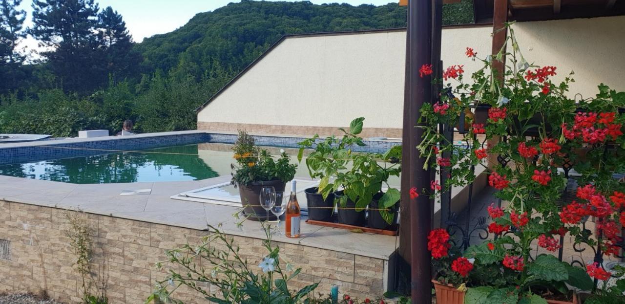 Limpedea Green House Baia Mare Luaran gambar